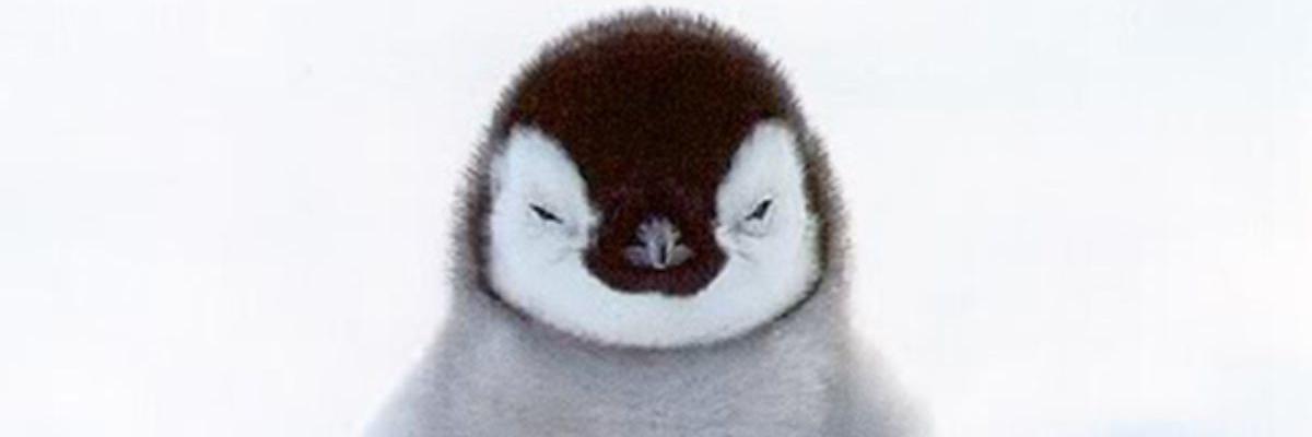 idljae's profile banner image