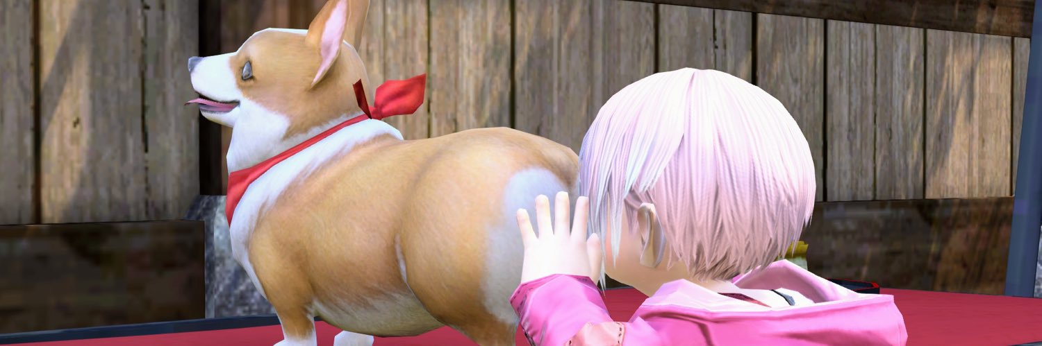 0213igapon's profile banner image