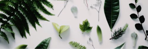 fearlessbiebs's profile banner image