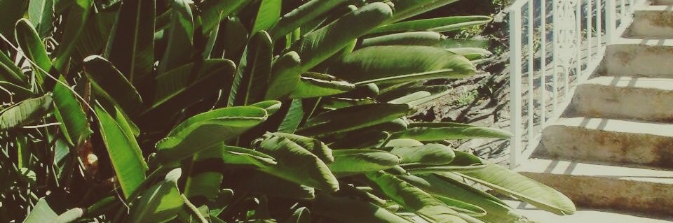 supcads's profile banner image