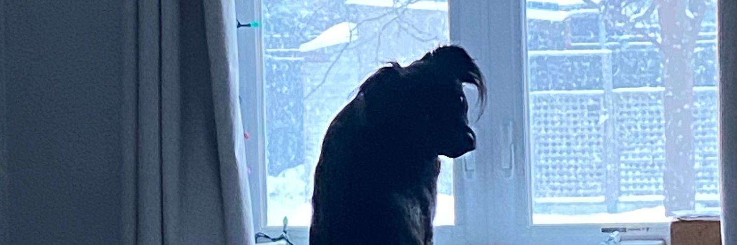 Dylan Dusseault banner