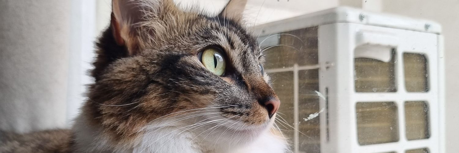 agosgilardi_'s profile banner image