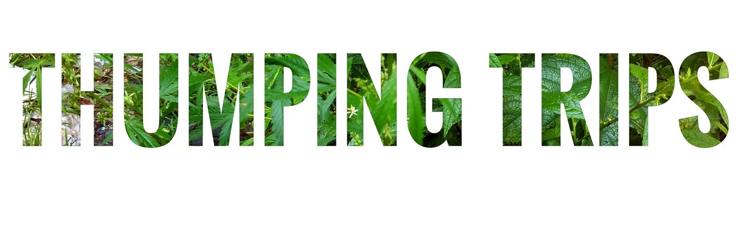 thumpingtrips's profile banner image