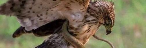ALinajes's profile banner image