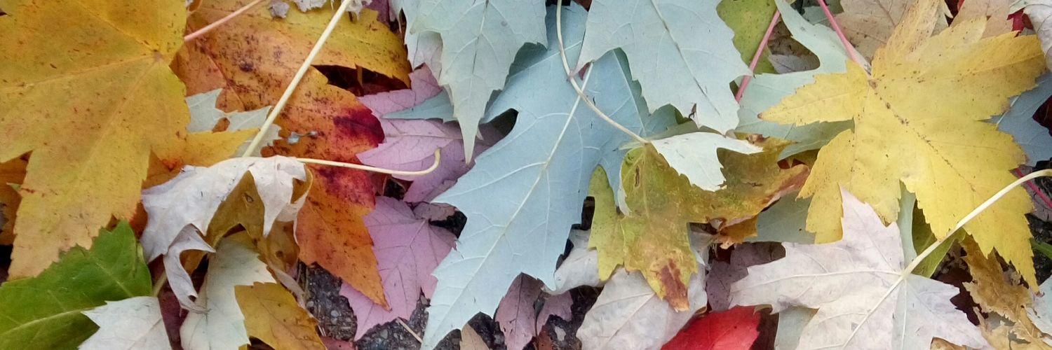 thedeadbit's profile banner image