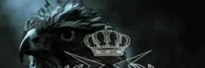 Abu Abood banner