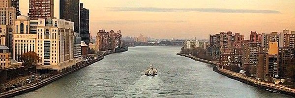 WagsisSticks Profile Banner