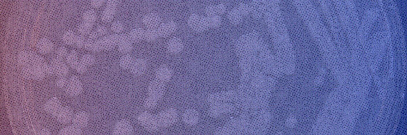 UF_MCS's profile banner image