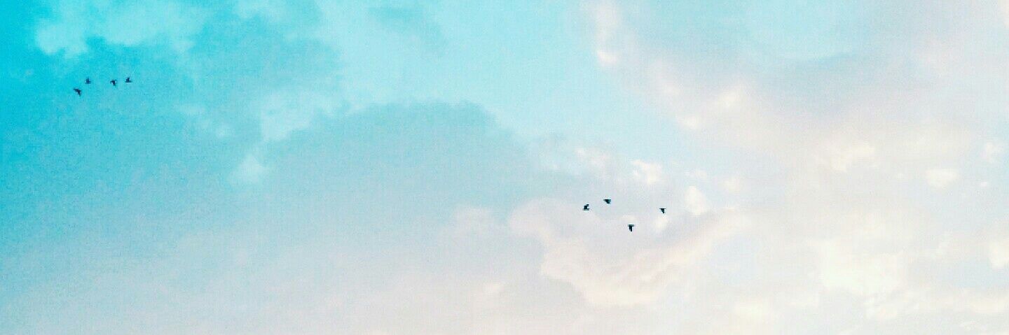 fa001957's profile banner image