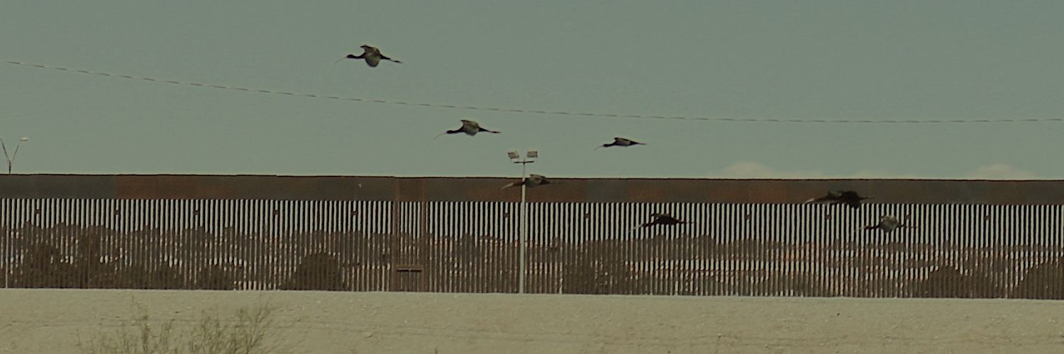 robcmendez's profile banner image