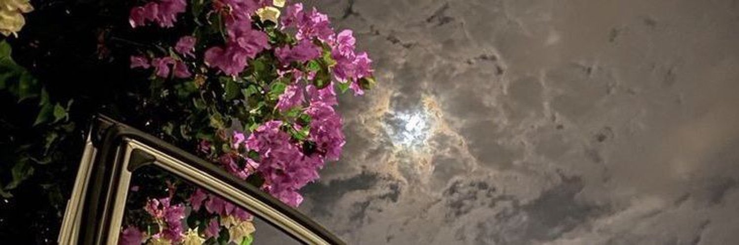 Uj1il_'s profile banner image