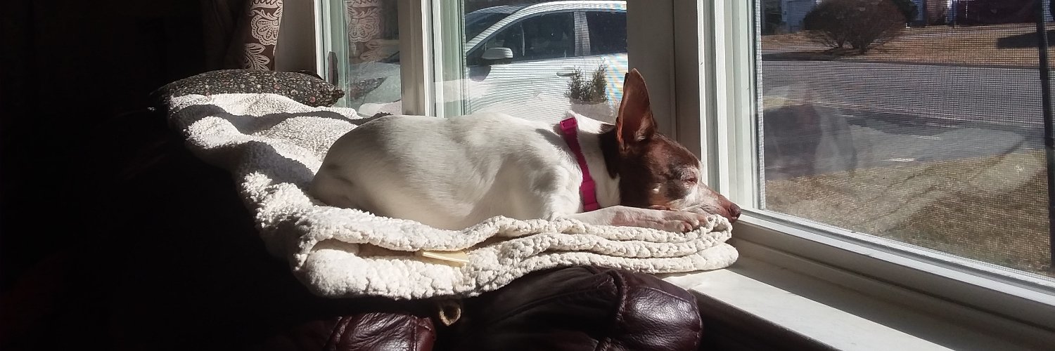 KathyJLovesDogs's profile banner image