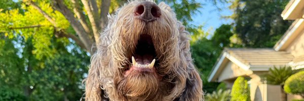 haggardbones Profile Banner