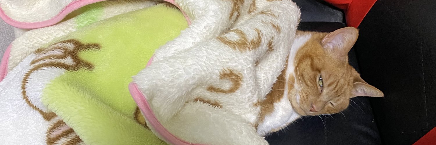 ocegch's profile banner image