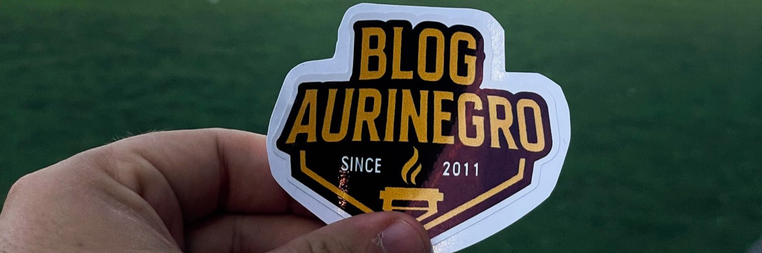BLOG AURINEGRO banner