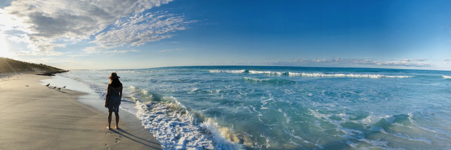 martinez_danie's profile banner image