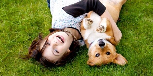 ZeuterinDogs's profile banner image