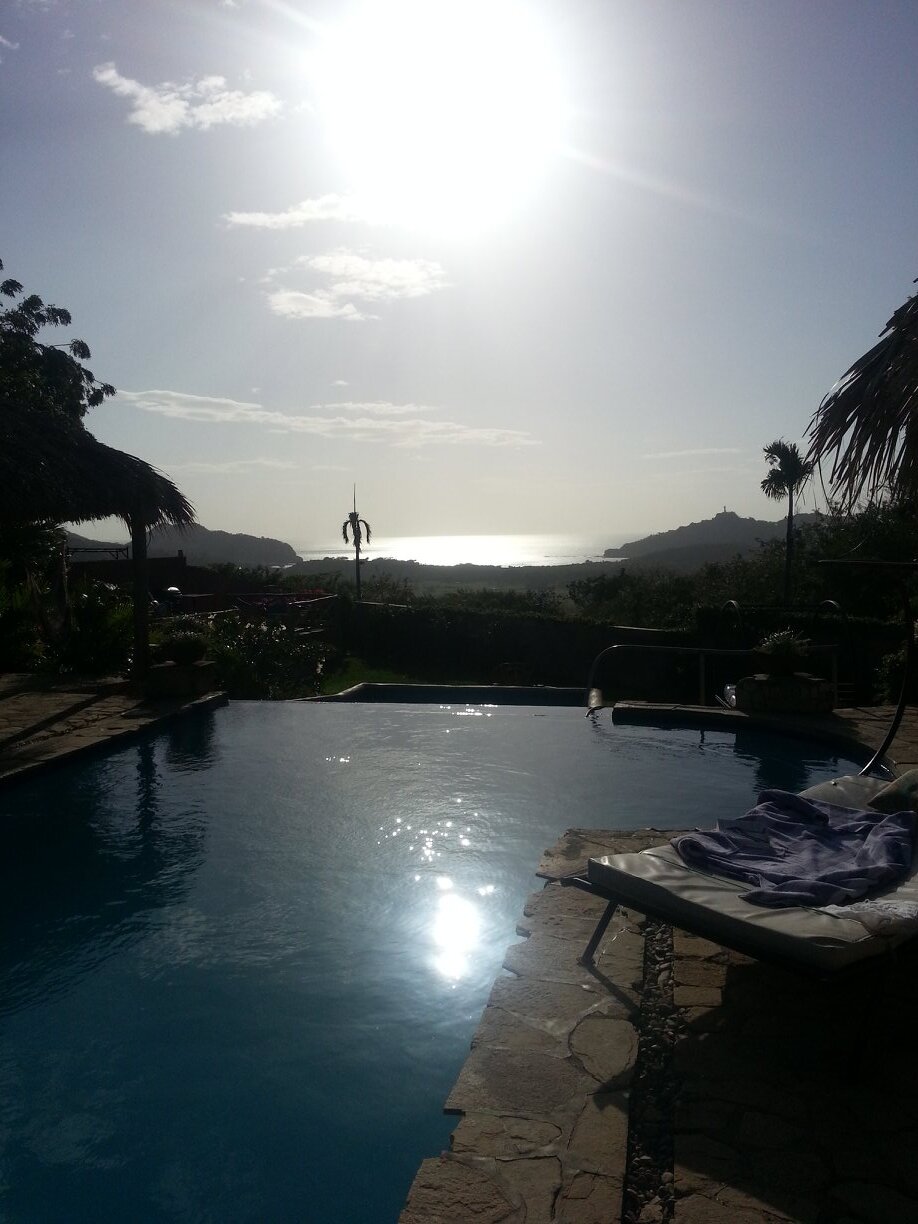 Maxime Lévesqu | ETHGas ⛽ banner