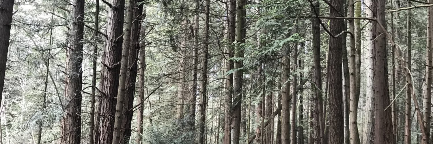 bjamesgali's profile banner image
