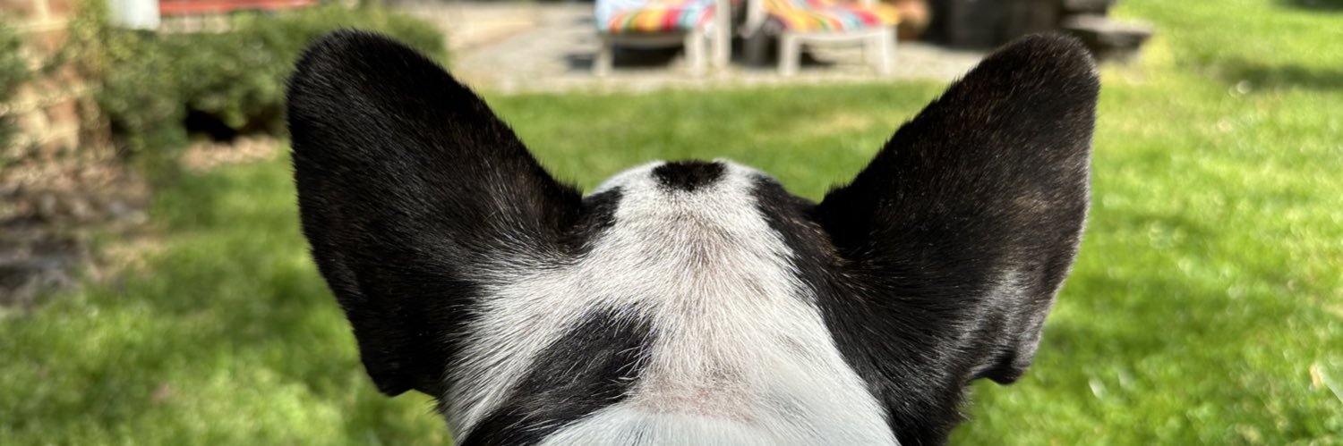 claireeod's profile banner image