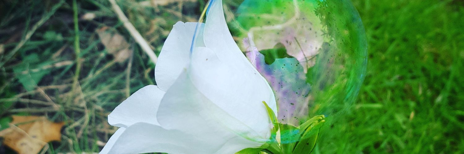 SherbertLights's profile banner image