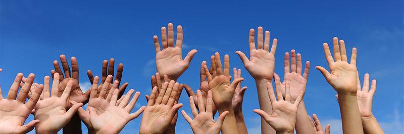 Pioneers Volunteer banner