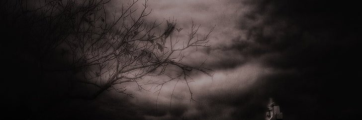 KaylaKalamity's profile banner image