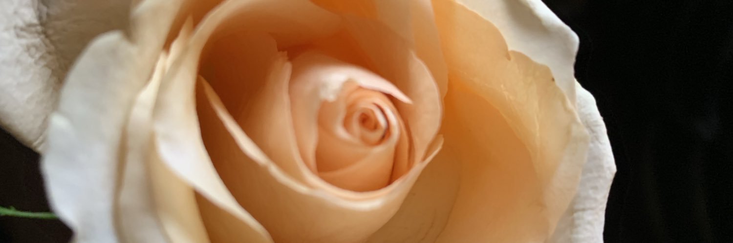 Jennix_3's profile banner image