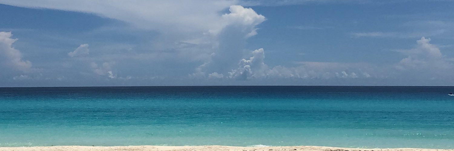 ingridnvrro's profile banner image