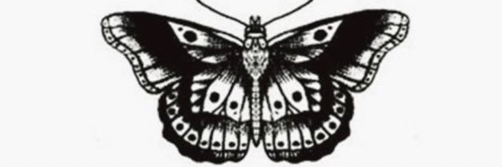 haileyxberardi's profile banner image