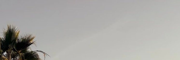 Charlotte15620's profile banner image