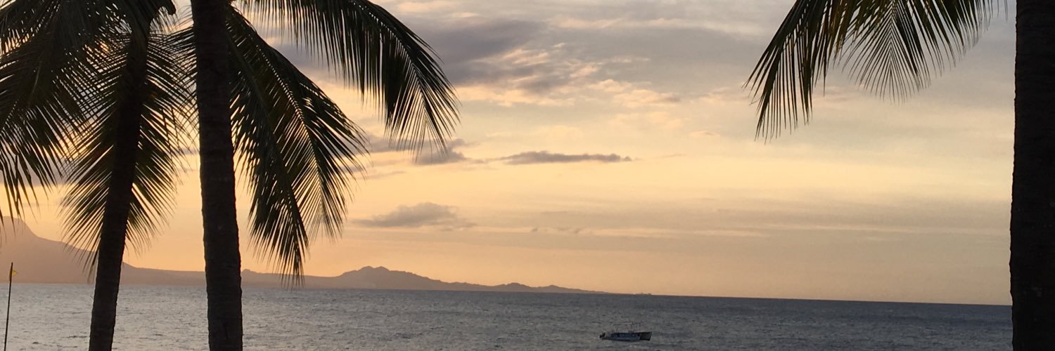 danierigs's profile banner image