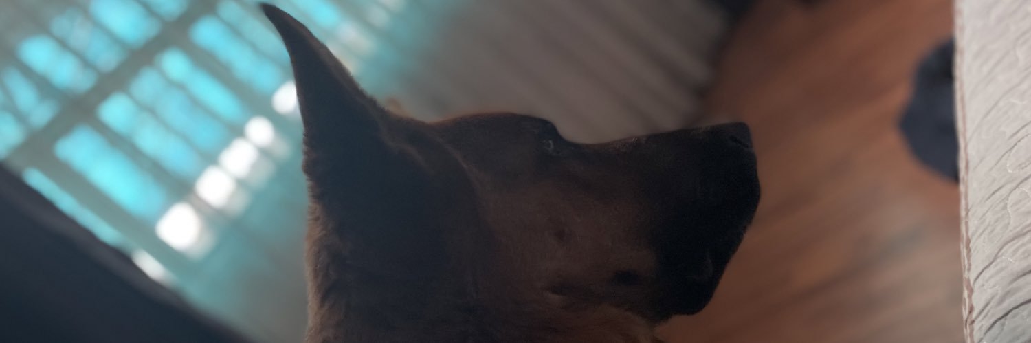leonarfabio's profile banner image
