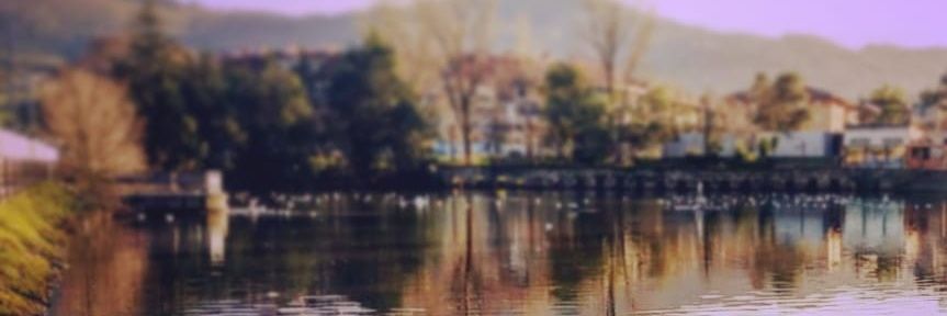 catalik8's profile banner image