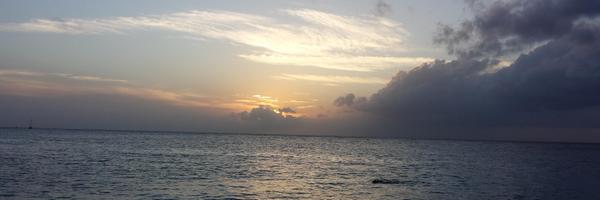 yos_h Profile Banner