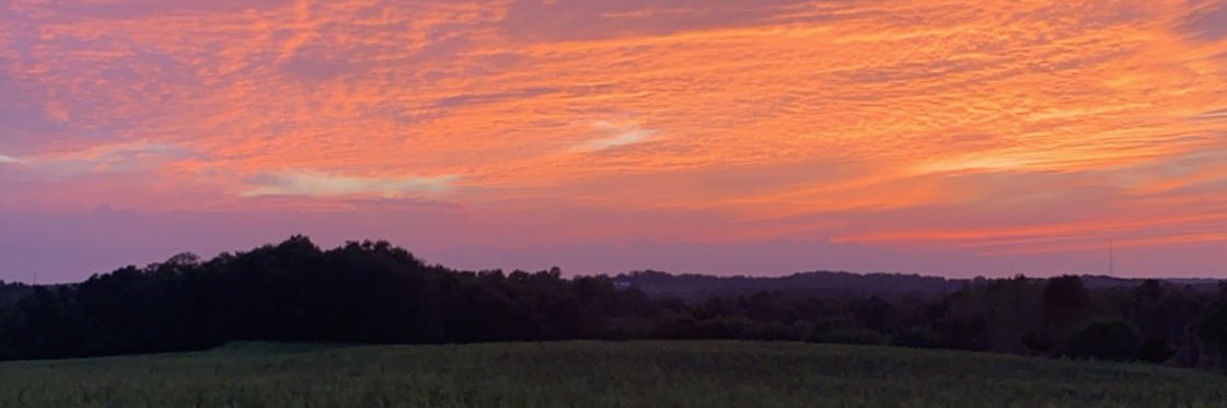 aphillips_16's profile banner image