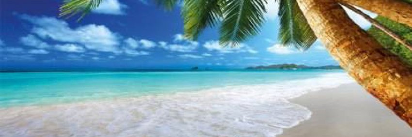 fimo 🇩🇰 banner