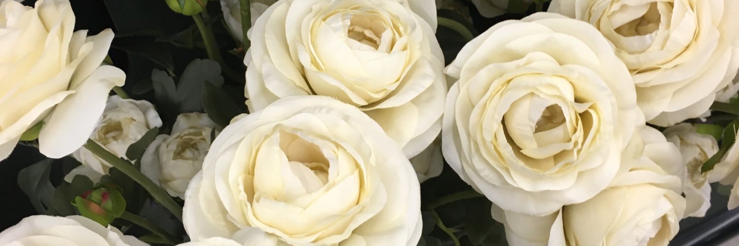 juleelah's profile banner image