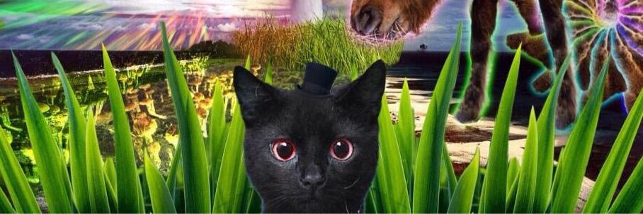 tczzzz's profile banner image