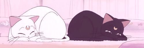 lnrbb8's profile banner image
