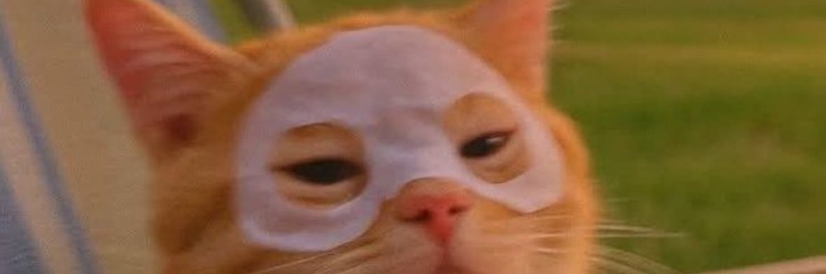Zoester__'s profile banner image