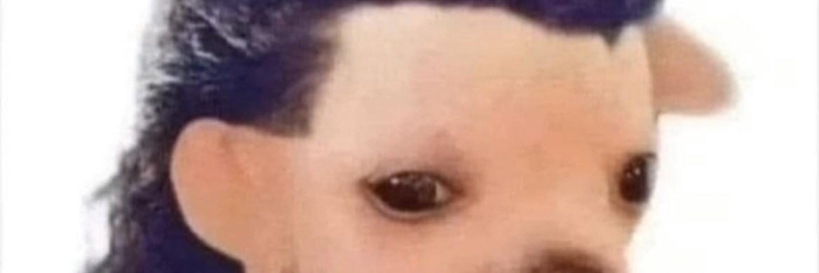 SenorCollazo's profile banner image