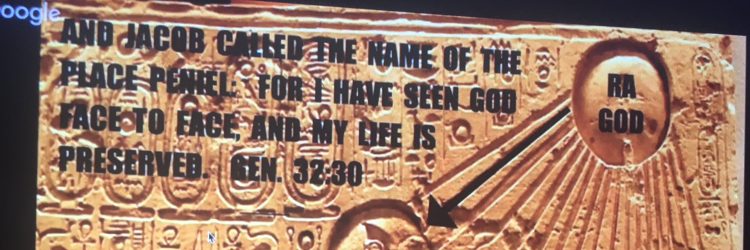 Zommzi's profile banner image