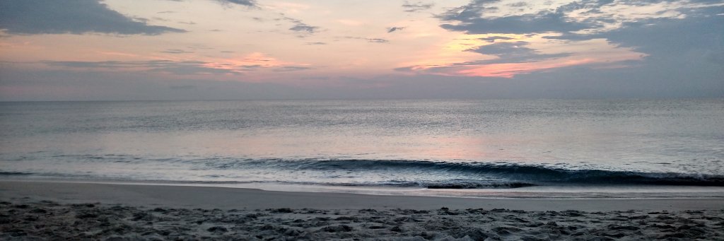 Jessica Owens banner