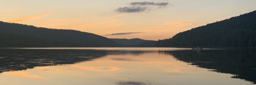 Sabrina Faso banner
