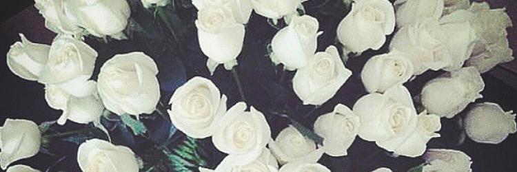 taylormarinovic's profile banner image