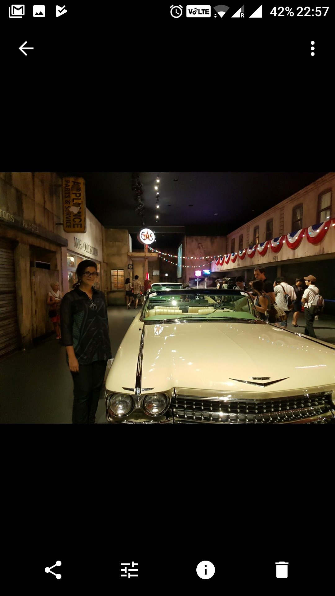 Erudite Ignoramus®️ banner