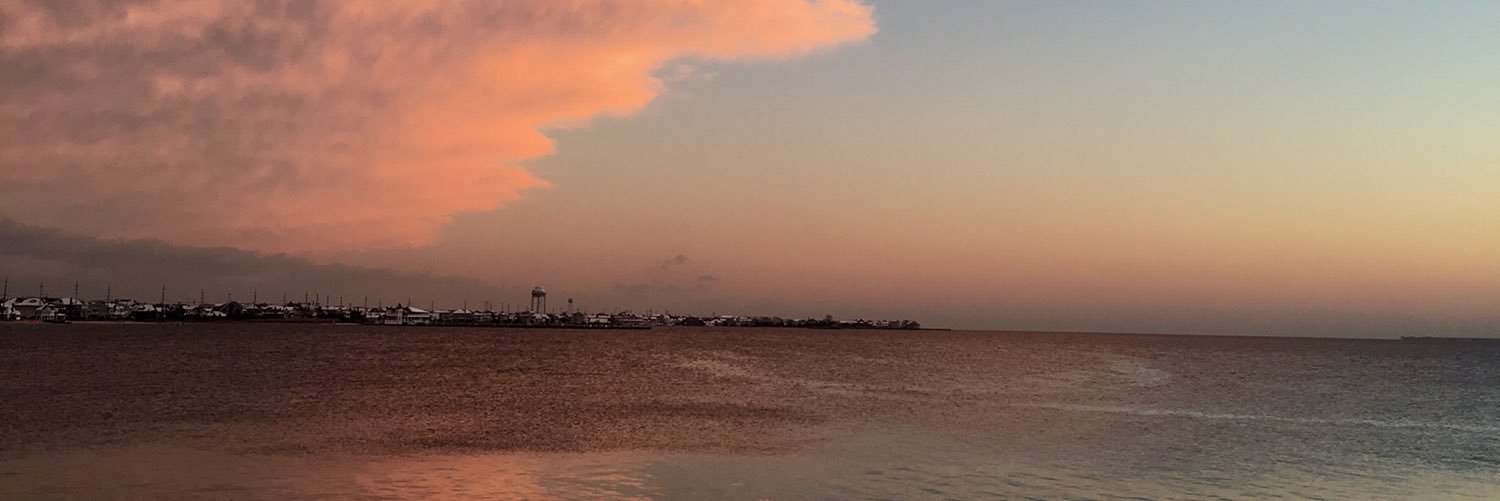 Meganheck1's profile banner image