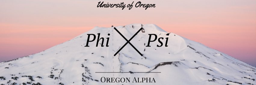 SnowbellePup's profile banner image