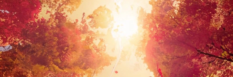 AyeRob's profile banner image